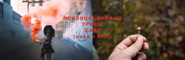 гидра Армянск