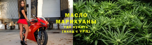 сатива Кулебаки