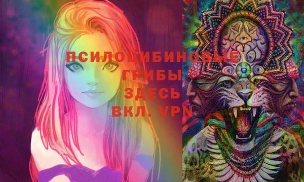 гидра Армянск